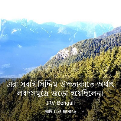 Picture 03 - আদি 14:3 BENIRV - এরা সবাই সিদ্দিম - Bible Verse Picture