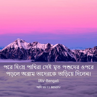 Picture 03 - আদি 15:11 BENIRV - পরে হিংস্র পাখিরা - Bible Verse Picture