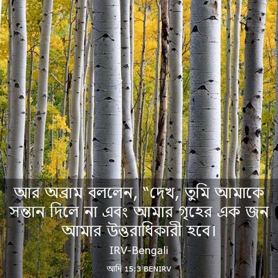 Picture 03 - আদি 15:3 BENIRV - আর অব্রাম বললেন, - Bible Verse Picture
