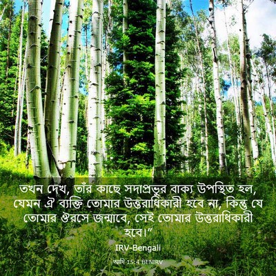 Picture 03 - আদি 15:4 BENIRV - তখন দেখ, তাঁর কাছে - Bible Verse Picture