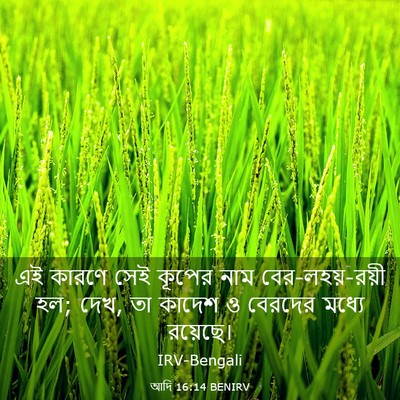 Picture 03 - আদি 16:14 BENIRV - এই কারণে সেই কূপের - Bible Verse Picture