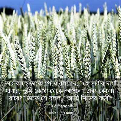 Picture 03 - আদি 16:8 BENIRV - তার কাছে তাকে - Bible Verse Picture