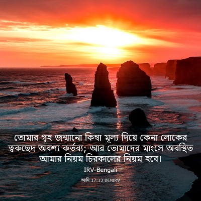 Picture 03 - আদি 17:13 BENIRV - তোমার গৃহ জন্মানো - Bible Verse Picture