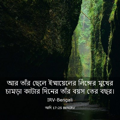 Picture 03 - আদি 17:25 BENIRV - আর তাঁর ছেলে - Bible Verse Picture