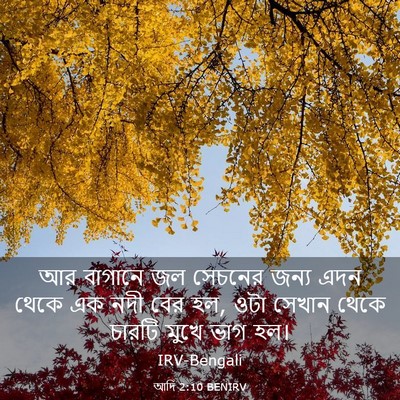 Picture 03 - আদি 2:10 BENIRV - আর বাগানে জল - Bible Verse Picture