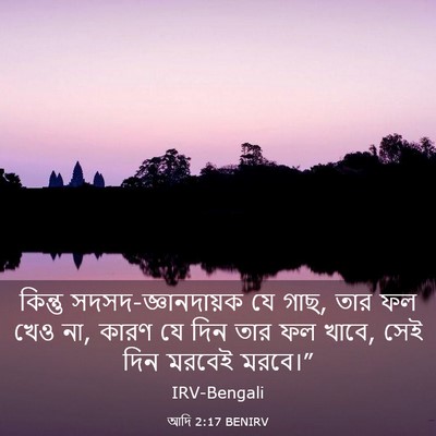 Picture 03 - আদি 2:17 BENIRV - কিন্তু - Bible Verse Picture