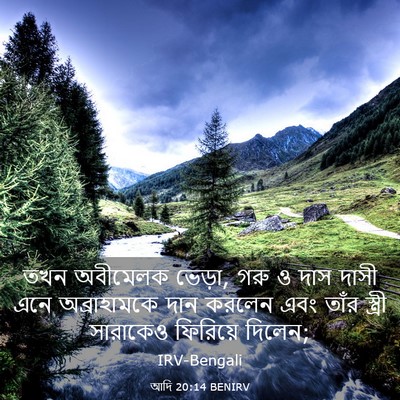 Picture 03 - আদি 20:14 BENIRV - তখন অবীমেলক ভেড়া, - Bible Verse Picture
