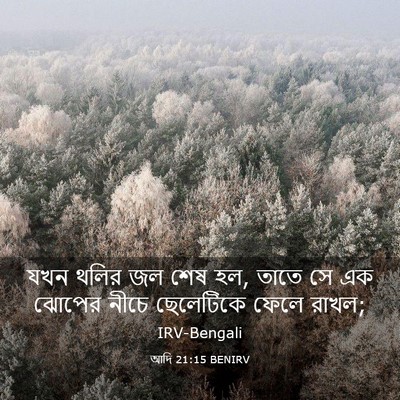 Picture 03 - আদি 21:15 BENIRV - যখন থলির জল শেষ হল, - Bible Verse Picture