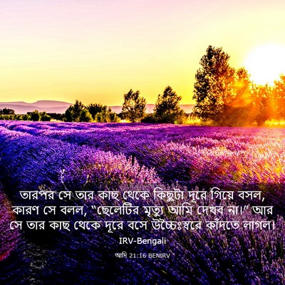 Picture 03 - আদি 21:16 BENIRV - তারপর সে তার কাছ - Bible Verse Picture