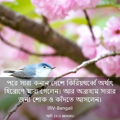 Picture 03 - আদি 23:2 BENIRV - পরে সারা কনান দেশে - Bible Verse Picture