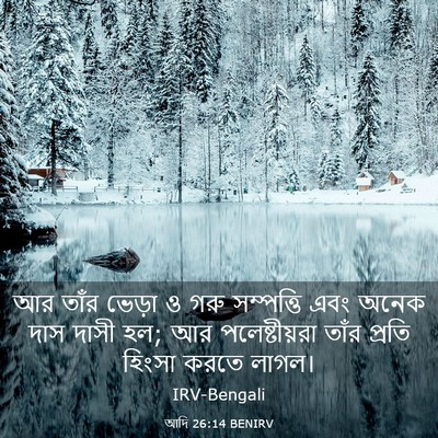 Picture 03 - আদি 26:14 BENIRV - আর তাঁর ভেড়া ও গরু - Bible Verse Picture