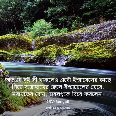 Picture 03 - আদি 28:9 BENIRV - অতএব দুই স্ত্রী - Bible Verse Picture