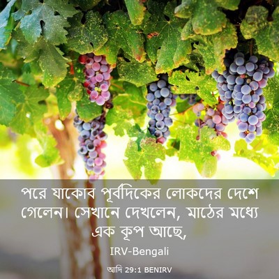 Picture 03 - আদি 29:1 BENIRV - পরে যাকোব - Bible Verse Picture