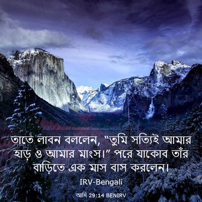 Picture 03 - আদি 29:14 BENIRV - তাতে লাবন বললেন, - Bible Verse Picture