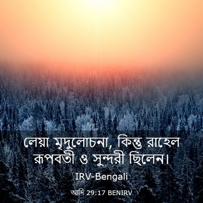 Picture 03 - আদি 29:17 BENIRV - লেয়া মৃদুলোচনা, - Bible Verse Picture