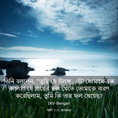 Picture 03 - আদি 3:11 BENIRV - তিনি বললেন, “তুমি - Bible Verse Picture