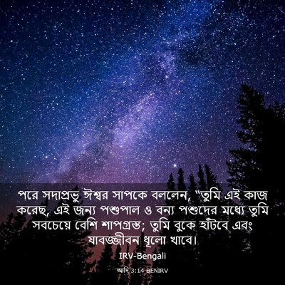 Picture 03 - আদি 3:14 BENIRV - পরে সদাপ্রভু - Bible Verse Picture
