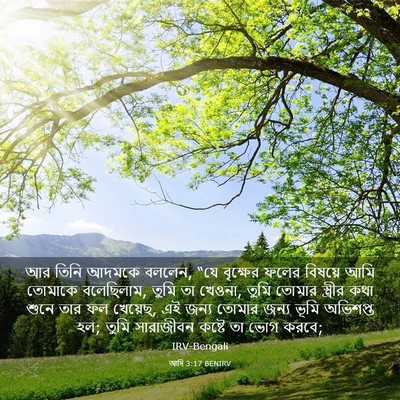 Picture 03 - আদি 3:17 BENIRV - আর তিনি আদমকে - Bible Verse Picture