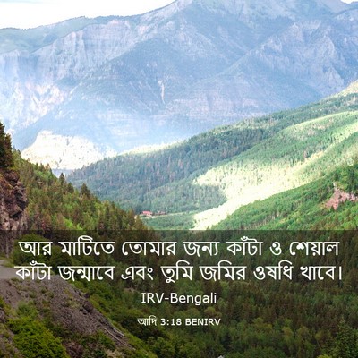 Picture 03 - আদি 3:18 BENIRV - আর মাটিতে তোমার - Bible Verse Picture