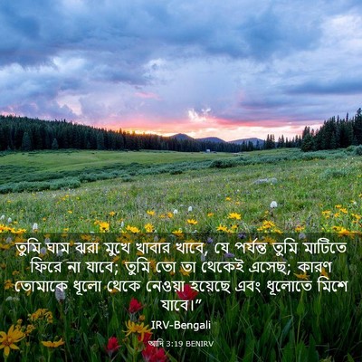 Picture 03 - আদি 3:19 BENIRV - তুমি ঘাম ঝরা মুখে - Bible Verse Picture