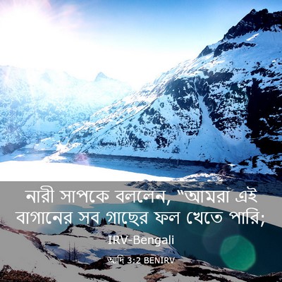 Picture 03 - আদি 3:2 BENIRV - নারী সাপকে বললেন, - Bible Verse Picture