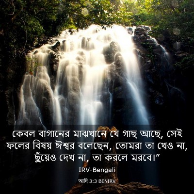 Picture 03 - আদি 3:3 BENIRV - কেবল বাগানের - Bible Verse Picture