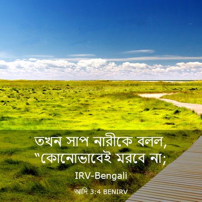 Picture 03 - আদি 3:4 BENIRV - তখন সাপ নারীকে বলল, - Bible Verse Picture