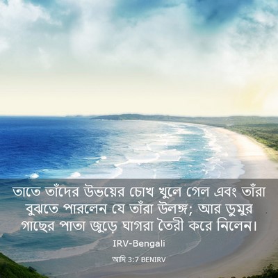 Picture 03 - আদি 3:7 BENIRV - তাতে তাঁদের - Bible Verse Picture