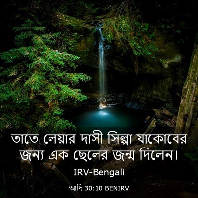 Picture 03 - আদি 30:10 BENIRV - তাতে লেয়ার দাসী - Bible Verse Picture