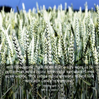 Picture 03 - আদি 30:15 BENIRV - তাতে তিনি বললেন, - Bible Verse Picture