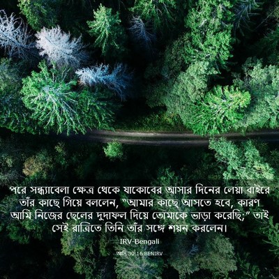 Picture 03 - আদি 30:16 BENIRV - পরে সন্ধ্যাবেলা - Bible Verse Picture