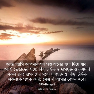 Picture 03 - আদি 30:32 BENIRV - আজ আমি আপনার সব - Bible Verse Picture
