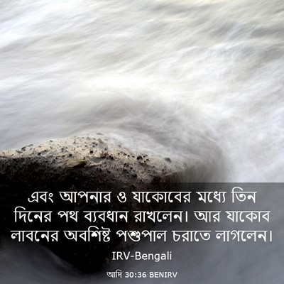 Picture 03 - আদি 30:36 BENIRV - এবং আপনার ও - Bible Verse Picture