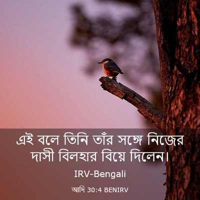 Picture 03 - আদি 30:4 BENIRV - এই বলে তিনি তাঁর - Bible Verse Picture