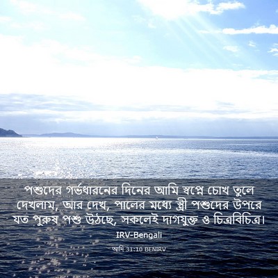 Picture 03 - আদি 31:10 BENIRV - পশুদের গর্ভধারনের - Bible Verse Picture