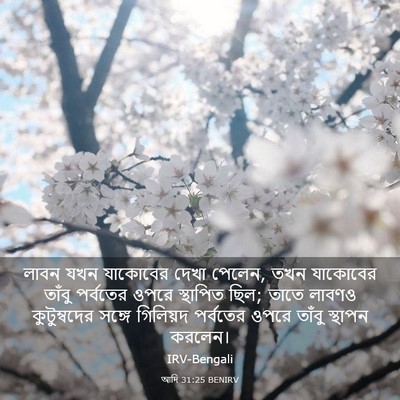 Picture 03 - আদি 31:25 BENIRV - লাবন যখন যাকোবের - Bible Verse Picture