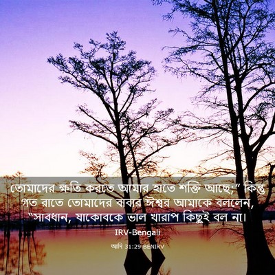 Picture 03 - আদি 31:29 BENIRV - তোমাদের ক্ষতি - Bible Verse Picture
