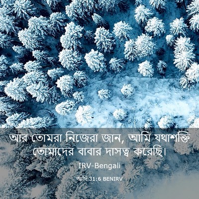 Picture 03 - আদি 31:6 BENIRV - আর তোমরা নিজেরা - Bible Verse Picture