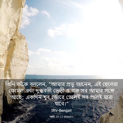 Picture 03 - আদি 33:13 BENIRV - তিনি তাঁকে বললেন, - Bible Verse Picture