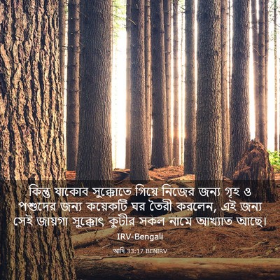 Picture 03 - আদি 33:17 BENIRV - কিন্তু যাকোব - Bible Verse Picture