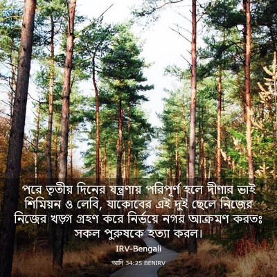 Picture 03 - আদি 34:25 BENIRV - পরে তৃতীয় দিনের - Bible Verse Picture