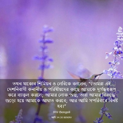 Picture 03 - আদি 34:30 BENIRV - তখন যাকোব শিমিয়ন - Bible Verse Picture