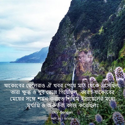 Picture 03 - আদি 34:7 BENIRV - যাকোবের ছেলেরাও ঐ - Bible Verse Picture