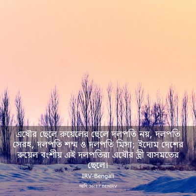 Picture 03 - আদি 36:17 BENIRV - এষৌর ছেলে - Bible Verse Picture