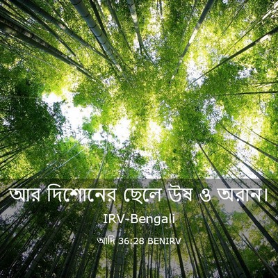 Picture 03 - আদি 36:28 BENIRV - আর দিশোনের ছেলে উষ - Bible Verse Picture