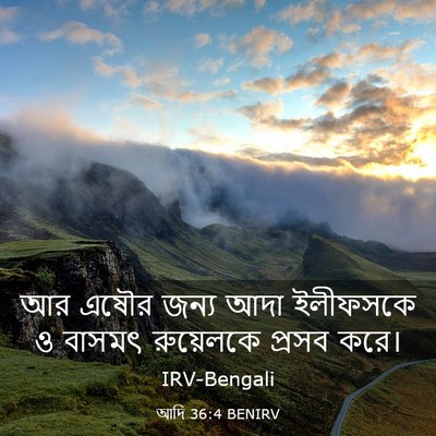 Picture 03 - আদি 36:4 BENIRV - আর এষৌর জন্য আদা - Bible Verse Picture