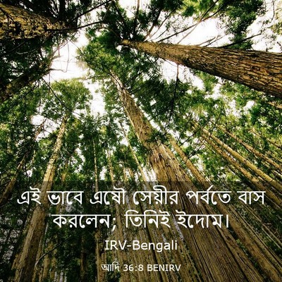 Picture 03 - আদি 36:8 BENIRV - এই ভাবে এষৌ সেয়ীর - Bible Verse Picture