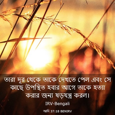 Picture 03 - আদি 37:18 BENIRV - তারা দূর থেকে তাকে - Bible Verse Picture