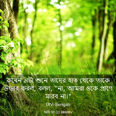 Picture 03 - আদি 37:21 BENIRV - রুবেন এটা শুনে - Bible Verse Picture