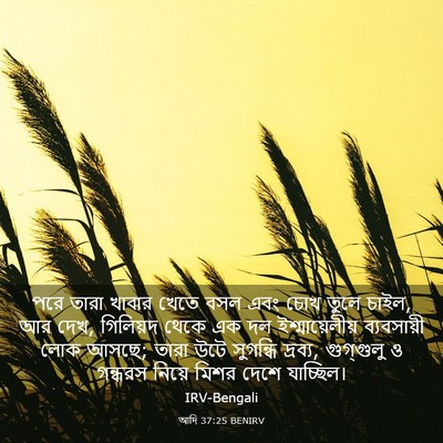 Picture 03 - আদি 37:25 BENIRV - পরে তারা খাবার - Bible Verse Picture